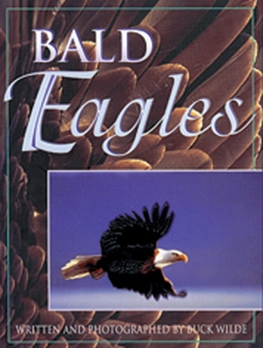 Bald Eagles