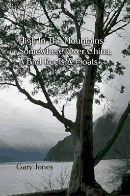 High In the Mountains Somewhere Over China, A Bird Reels & Floats