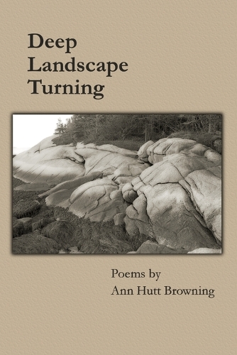 Deep Landscape Turning