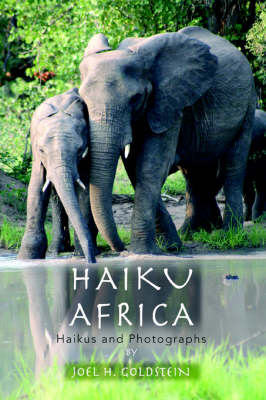 Haiku Africa