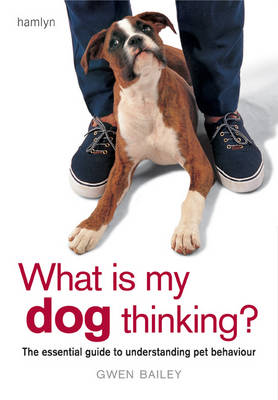 What is My Dog Thinking?