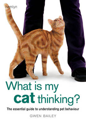 What is My Cat Thinking?