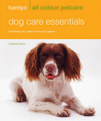 Dog Care Essentials