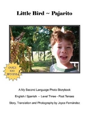 Little Bird - Pajarito