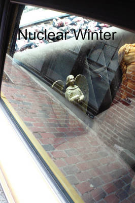 Nuclear Winter