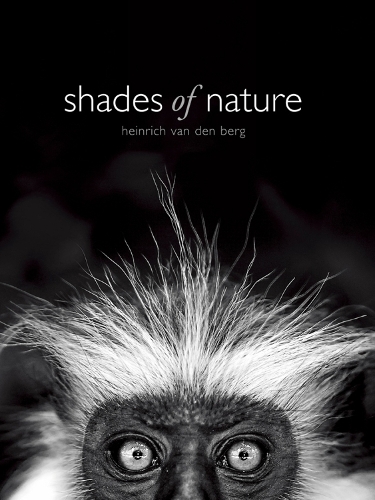 Shades Of Nature