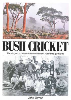 Bush Cricket