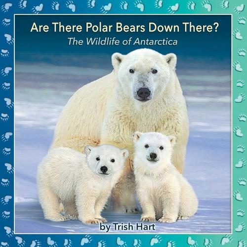 Are There Polar Bears Down There?