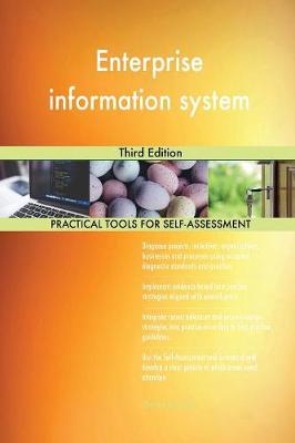 Enterprise Information System Third Edition