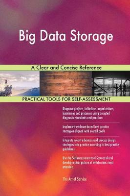 Big Data Storage a Clear and Concise Reference