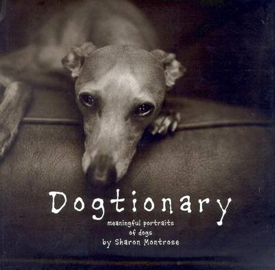 Dogtionary