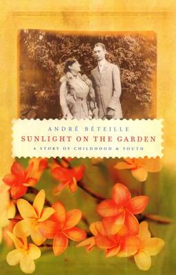 Sunlight on the Garden