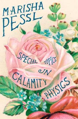 Special Topics in Calamity Physics