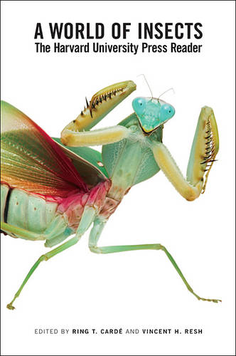 A World of Insects