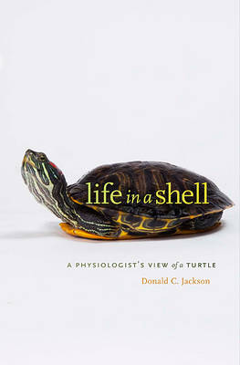 Life in a Shell