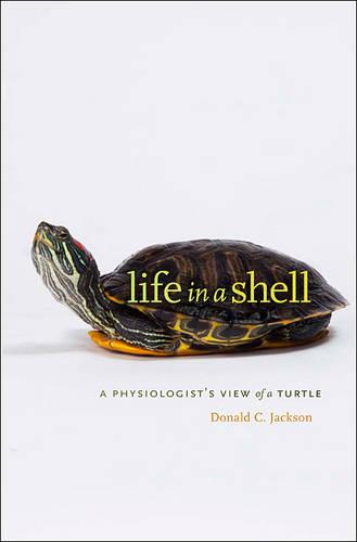 Life in a Shell