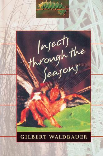 Insects through the Seasons
