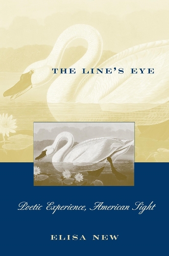 The Line’s Eye