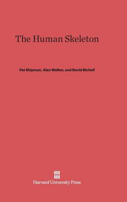 The Human Skeleton