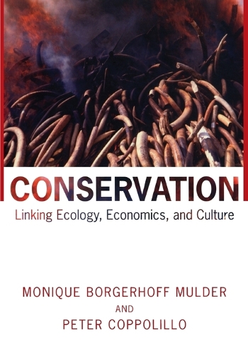 Conservation