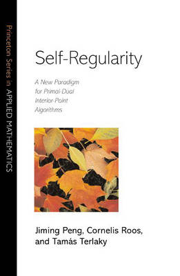 Self-regularity