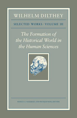 Wilhelm Dilthey, Selected Works: v. 3
