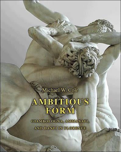Ambitious Form