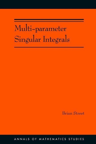 Multi-parameter Singular Integrals, Volume I