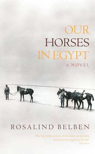 Our Horses in Egypt