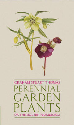 Perennial Garden Plants