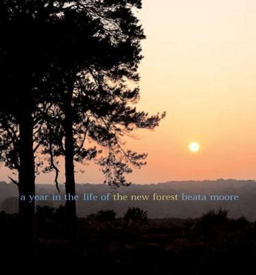 A Year in the Life of the New Forest
