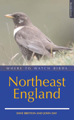 Where to Watch Birds in Northeast England