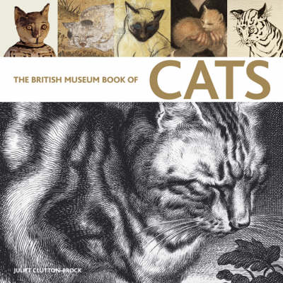 The British Museum Book of Cats