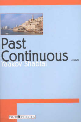 Past Continuous