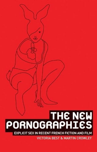 The new pornographies