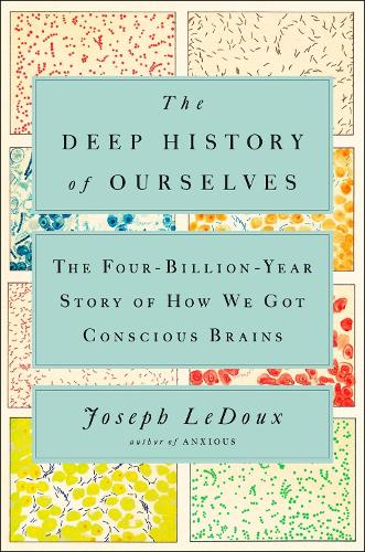 The Deep History of Ourselves