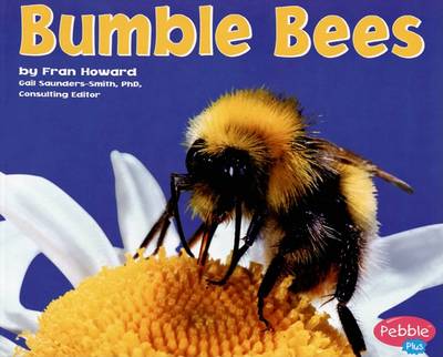 Bumble Bees