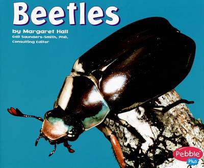 Beetles
