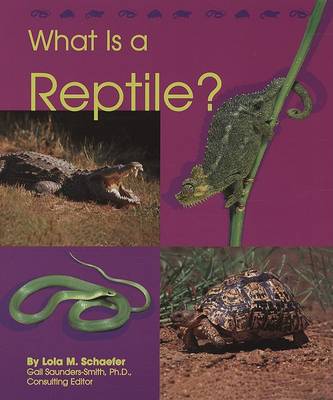 What Is a Reptile?