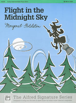 Flight in Midnight Sky