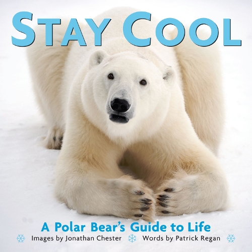 Stay Cool Volume 3