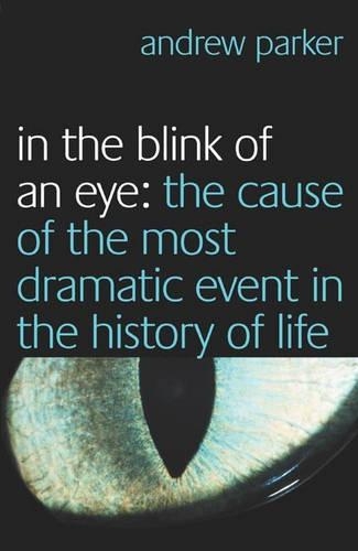 In the Blink of an Eye