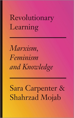 Revolutionary Learning