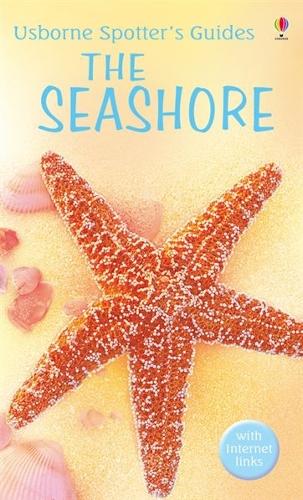 The Seashore