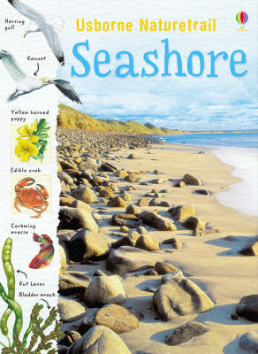 Seashore