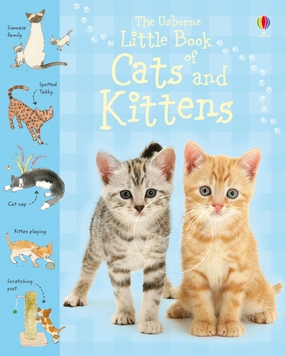 Little Book of Cats and Kittens