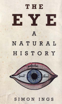 The Eye
