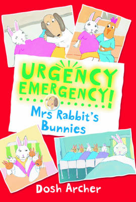 Mrs Rabbit's Babies