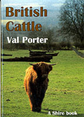 British Cattle