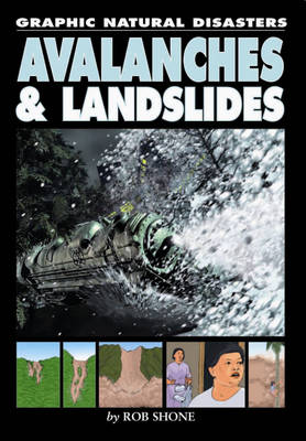 Avalanches and Landslides